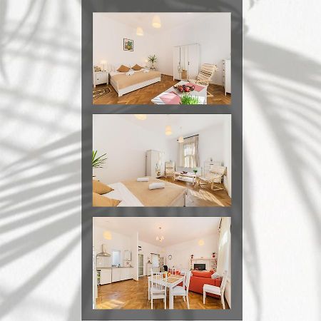 Zen House Apartment Brasov Exterior photo